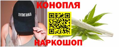 гидра Новодвинск