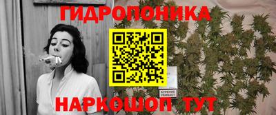 МДПВ Новокубанск
