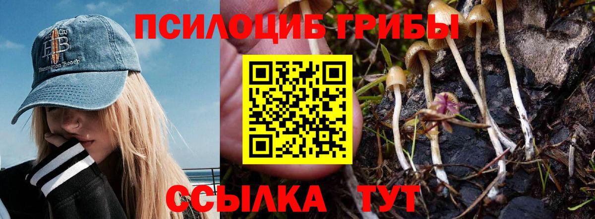 Галлюциногенные грибы ЛСД  Вход с VPN  Саратов  Псилоцибиновые грибы Psilocybe 