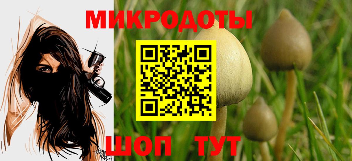 Галлюциногенные грибы Cubensis Саратов